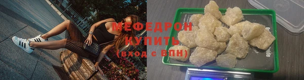 стаф Богданович